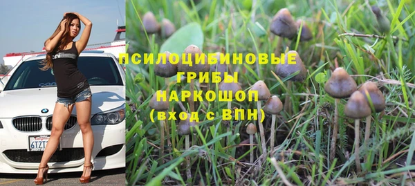 сатива Алзамай