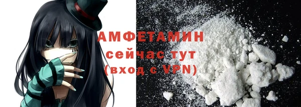 сатива Алзамай