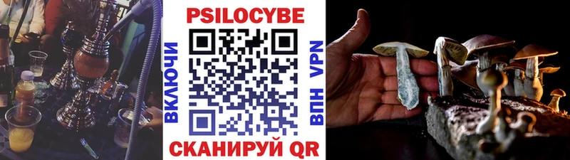 цена   Анжеро-Судженск  Псилоцибиновые грибы прущие грибы 
