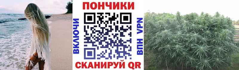 купить   Анжеро-Судженск  Шишки марихуана Ganja 